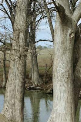 TEXAS-BANDERA CREEK4.JPG